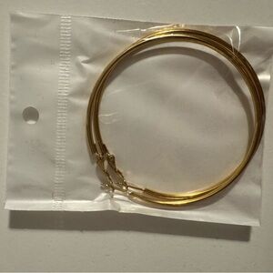 Elegant Gold Hoop Earrings